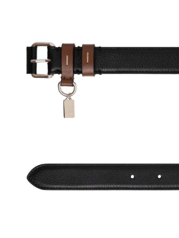 Belt - Image 2